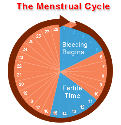 When Is My Safe Period?