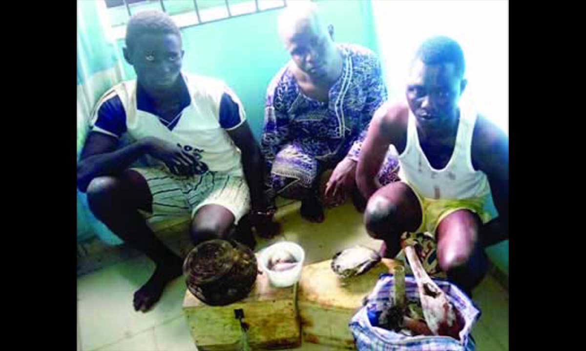 Alfa, Herbalist Kill 16-year-old Girl in Ogun
