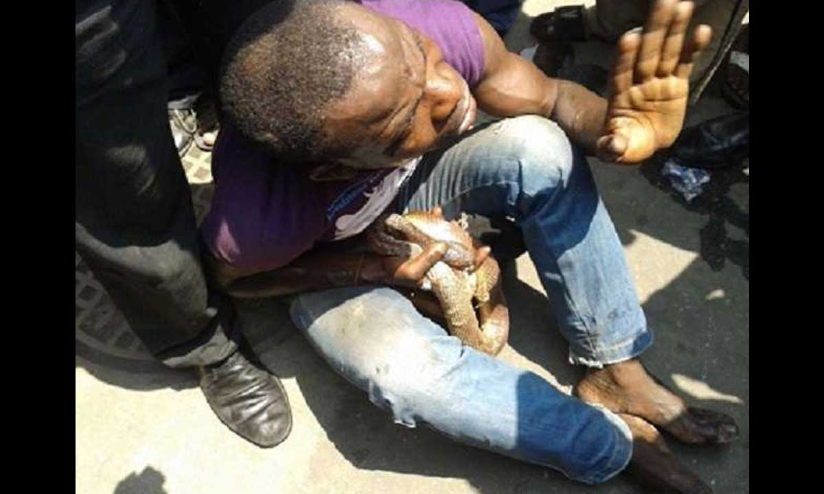 Stolen Wallet From Native Doctor Turns Snake, Stuck In The Hand Of Thief !
