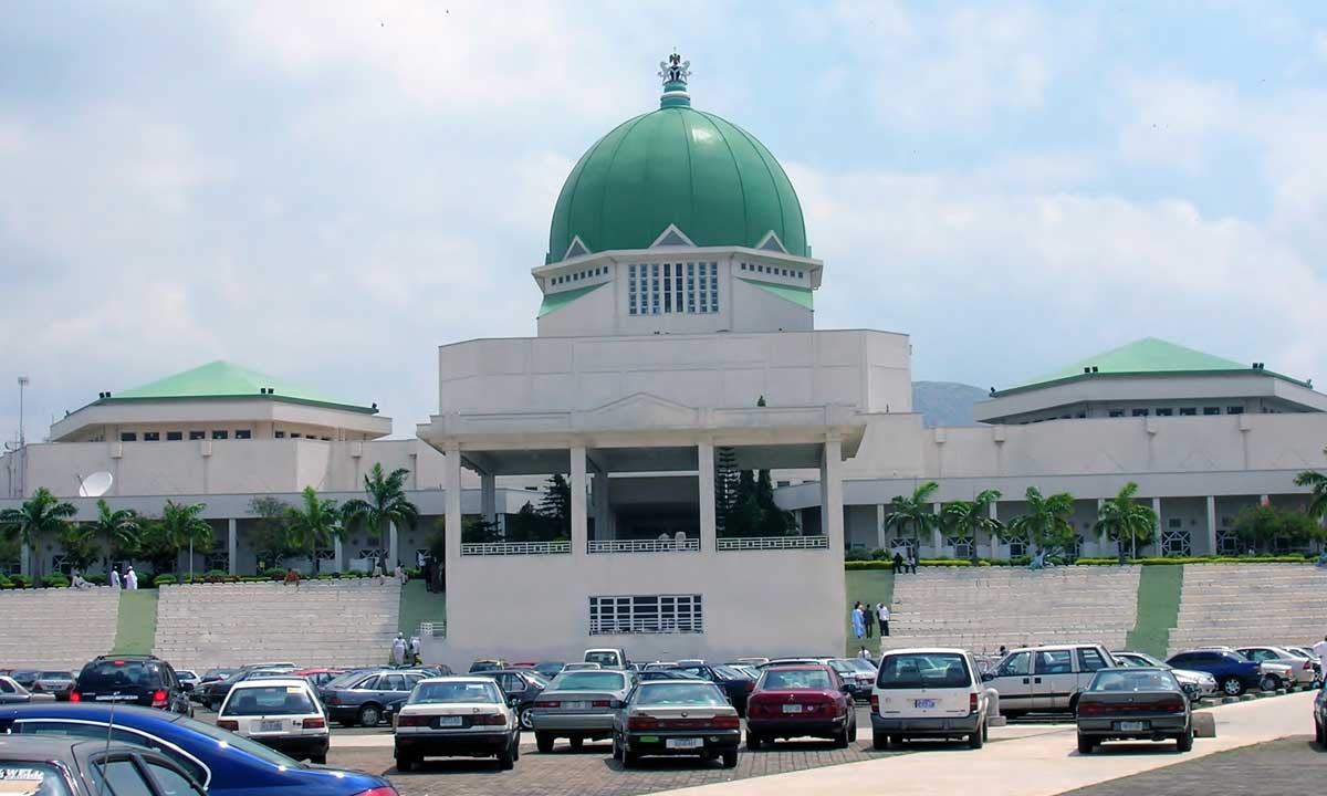 Reps Ask Security Agencies To Arrest ‘MMM’ Promoters