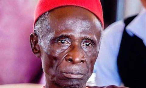 Late veteran Nollywood Actor, Elder Maya Sets to be Buried January (Photo)