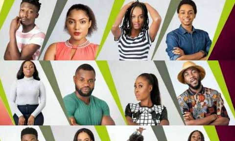 MultiChoice Defends  Hosting Big Brother Naija in South Africa