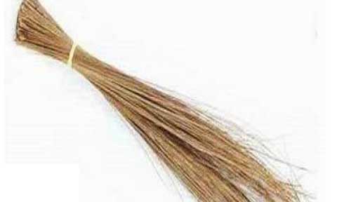 Girl Allegedly Loots Money With The Aid of A Broom Stick