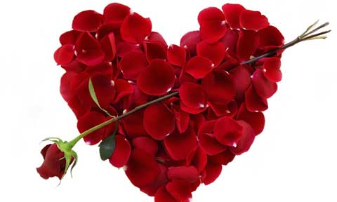Serious Controversy  Among Nigerians On Valentine’s Day Celebration