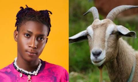 My Mum Relationship With Goat – Nigerian Singer, Bella Shmurda